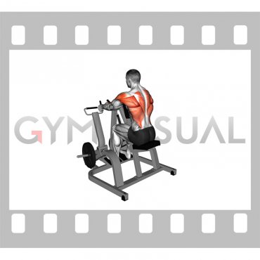 Lever Neutral Grip Seated Row (plate loaded)