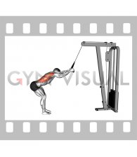 Cable Standing Lat Pushdown (rope equipment)