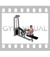 Cable Seated Row with V-bar