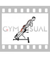 45 degree Hyperextension (arms in front of chest) (male)