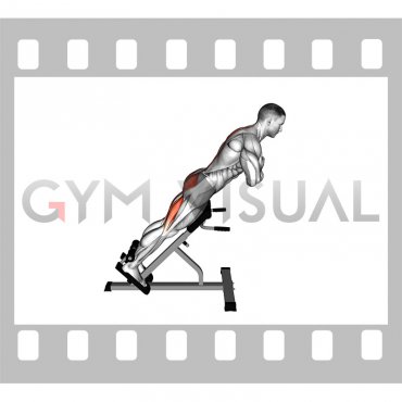 45 degrees Hyperextension (arms in front of chest) (male)