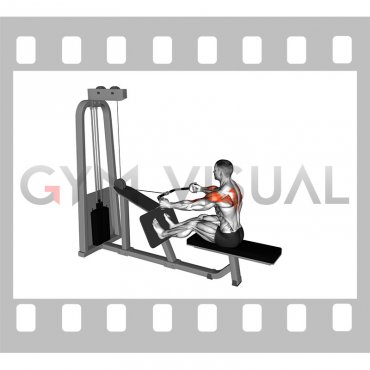 Cable Rear Delt Row (parallel bar)