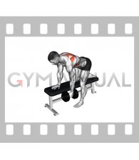 Dumbbell Bent Over Scapula Row (male)