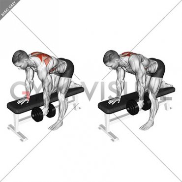 Dumbbell Bent-Over Scapula Row (male)