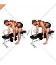 Dumbbell Bent-Over Scapula Row (male)