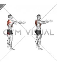 Bodyweight Standing Scapula Row (male)