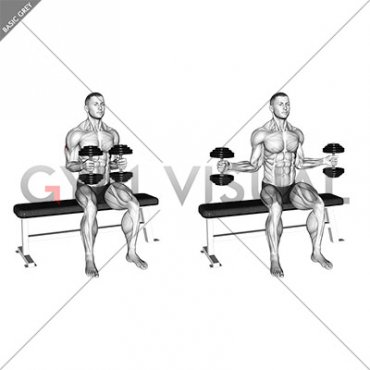 Dumbbell Seated External Rotation (male)