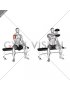 Dumbbell Seated Single Arm Front Raise (male)