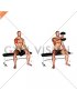 Dumbbell Seated Single Arm Front Raise (male)