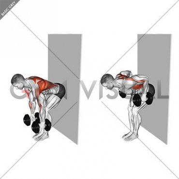 Dumbbell Bent Over Row against Wall