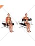 Dumbbell Seated Drag Curl