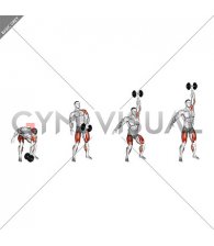 Dumbbell One Arm Snatch (left)