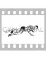 Roll Peroneal (Single Leg) Side Lying on Floor