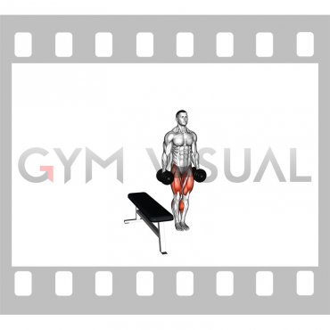 Dumbbell Lateral Step-up (male)