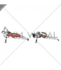 Elbow to Knee Side Plank Crunch (left) (female)