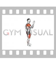 Reverse Lunge Quick Arms (male)