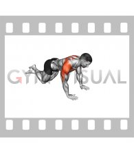 Knee Push-up Chest Pullback (male)