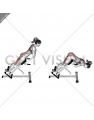 45 degree hyperextension (arms in front of chest)