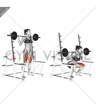 Barbell Full squat (with rack)