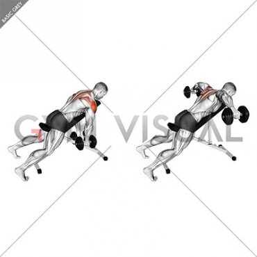 Dumbbell Incline Rear Lateral Raise