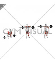 Barbell Muscle Clean