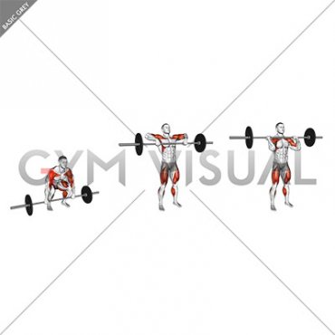 Barbell Muscle Clean