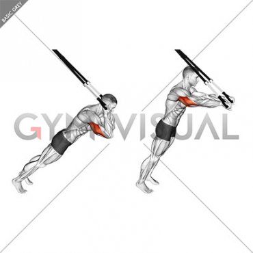 Suspension Triceps Extension (male)