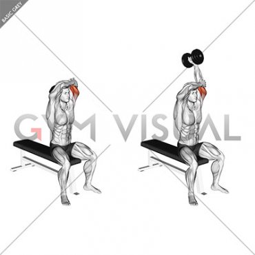 Dumbbell Seated Single Arm Overhead Triceps Extension (left)
