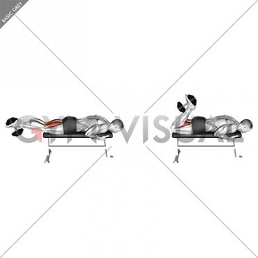 Dumbbell Lying Leg Curl (male)