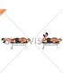 Dumbbell Lying Leg Curl (male)