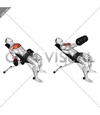 Dumbbell Incline Low Fly