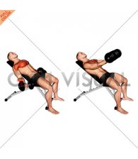 Dumbbell Incline Low Fly
