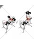 Dumbbell Incline Twist Press