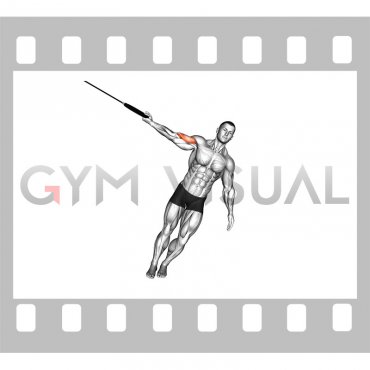 Ring One Arm Biceps Curl (male)