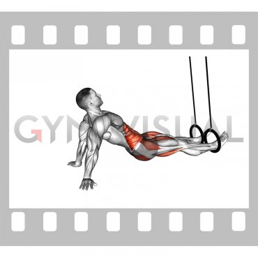 Ring Supine Crunch (male)