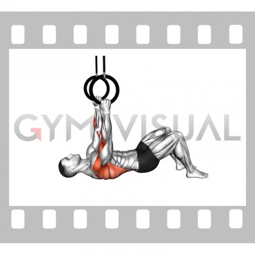 Ring Bent Knee Inverted Row (male)