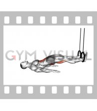 Ring Straight Hip Leg Curl (male)