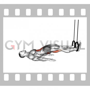 Ring Straight Hip Leg Curl (male)