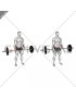 Barbell Standing Wrist Curl