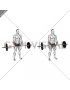 Barbell Standing Wrist Reverse Curl