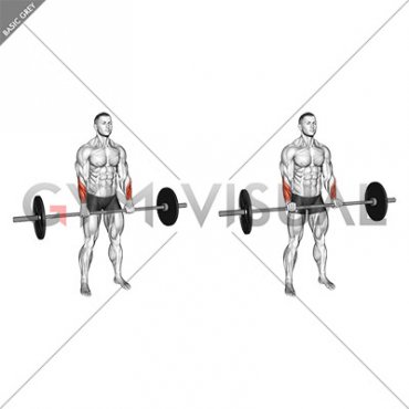 Barbell Standing Wrist Reverse Curl