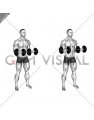 Dumbbell Standing Arms Rotate