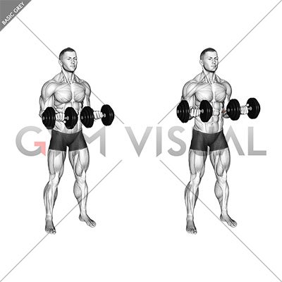 Dumbbell Standing Arms Rotate