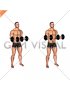 Dumbbell Standing Arms Rotate
