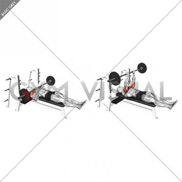 Barbell Close Grip Larsen Press (male)