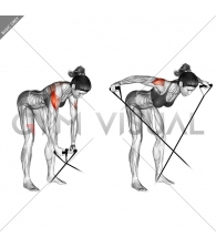 Band bent-over rear lateral raise