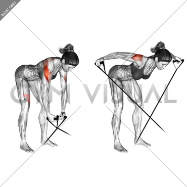Band bent-over rear lateral raise
