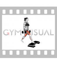 Dumbbell Split Squat Front Foot Elevanted (female)