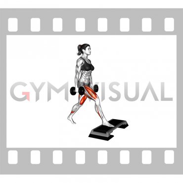 Dumbbell Split Squat Front Foot Elevanted (female)