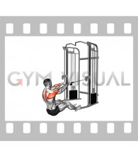Cable Seated Face Pull (with rope) (male)